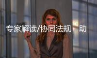 快排公司十年历程，霸屏兔 seo 的崛起与坚守