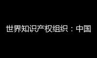 世界知识产权组织：中国是国际专利申请最大来源国