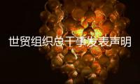 世贸组织总干事发表声明
：欢迎中美经贸高层会谈取得积极成果