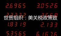 快排公司十年历程，霸屏兔 seo 的崛起与坚守