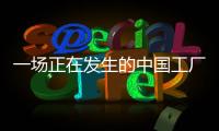 快排公司十年历程，霸屏兔 seo 的崛起与坚守