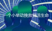 一个小举动挽救鲜活生命	！珠海快递小哥化身“城市哨兵”