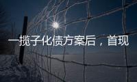 一揽子化债方案后，首现城投“统借统还”案例