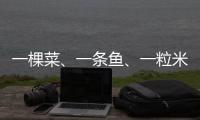 一棵菜	、一条鱼、一粒米：年轻人热衷务农的“乡村振兴密码”