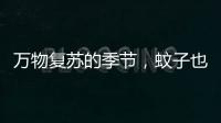 万物复苏的季节
，蚊子也“醒”了？早春灭蚊指南请收下