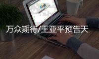 快排公司十年历程，霸屏兔 seo 的崛起与坚守