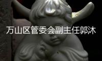 快排公司十年历程，霸屏兔 seo 的崛起与坚守