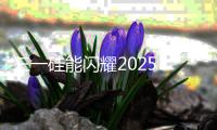 三一硅能闪耀2025 SNEC展
，智能微网成焦点！