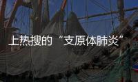 上热搜的“支原体肺炎”，究竟是啥？
