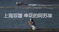 上海双雄 申花的阿苏埃跟海港的西班牙奥斯卡 谁更加高级一点
