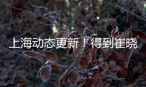他的上海起伏会存在