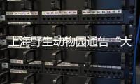 上海野生动物园通告“大象斗殴”
：对相关象已采取保护性举措
