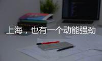 快排公司十年历程，霸屏兔 seo 的崛起与坚守