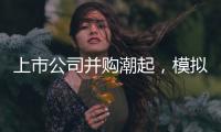 快排公司十年历程，霸屏兔 seo 的崛起与坚守