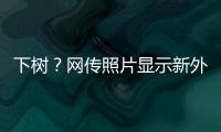快排公司十年历程，霸屏兔 seo 的崛起与坚守