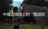 快排公司十年历程，霸屏兔 seo 的崛起与坚守