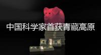 快排公司十年历程，霸屏兔 seo 的崛起与坚守