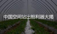 快排公司十年历程，霸屏兔 seo 的崛起与坚守