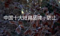 中国十大灶具品牌：防止雷同 坚持原创设计