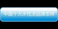 中国十大水性漆品牌怎样抓救命稻草翻身?
