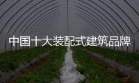 快排公司十年历程，霸屏兔 seo 的崛起与坚守