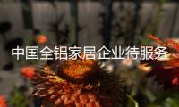 快排公司十年历程，霸屏兔 seo 的崛起与坚守