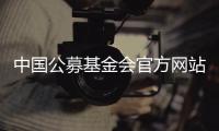 中国公募基金会官方网站观察
：在难开“门”的情况下关上“窗”