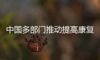 快排公司十年历程，霸屏兔 seo 的崛起与坚守