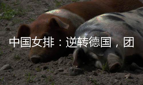 德国取得本站赛事三连胜