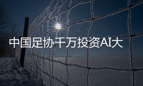 命稻中国足协又双叒叕出手了
