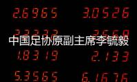 中国足协原副主席李毓毅	、中超公司原董事长马成全被查