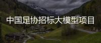 中国足协招标大模型项目，能帮助球员进球吗？