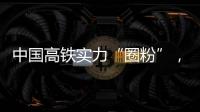 快排公司十年历程，霸屏兔 seo 的崛起与坚守