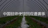 中国驻德使馆回应遭袭事件：无伤亡 嫌疑人被当场抓获