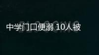 快排公司十年历程，霸屏兔 seo 的崛起与坚守