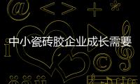 快排公司十年历程，霸屏兔 seo 的崛起与坚守