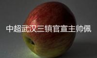 中超武汉三镇官宣主帅佩德罗不再担任职务
