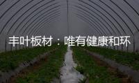 丰叶板材：唯有健康和环保不可辜负!
