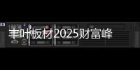 丰叶板材2025财富峰会	：系统赋能·共享品牌·共绘未来