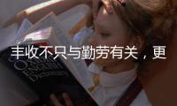 丰收不只与勤劳有关，更与市场和风险相连丨记者手记