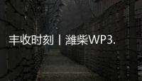 快排公司十年历程，霸屏兔 seo 的崛起与坚守