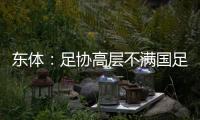 快排公司十年历程，霸屏兔 seo 的崛起与坚守