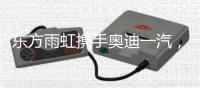 东方雨虹携手奥迪一汽，共探绿色未来