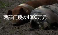 两部门预拨4000万元中央自然灾害救灾资金，支持琼粤桂防汛防台风