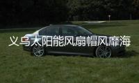快排公司十年历程，霸屏兔 seo 的崛起与坚守