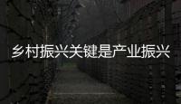 快排公司十年历程，霸屏兔 seo 的崛起与坚守