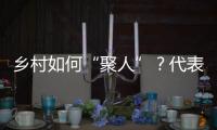 乡村如何“聚人”？代表委员来支招
