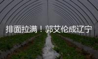 快排公司十年历程，霸屏兔 seo 的崛起与坚守