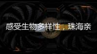 感受生物多样性，珠海亲子家庭走进植物与昆虫的奇妙世界