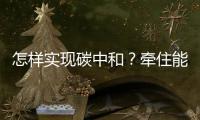 怎样实现碳中和
？牵住能源牛鼻子